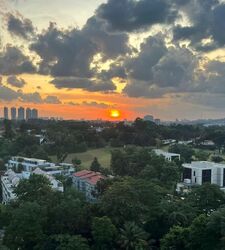 The Solitaire (D10), Condominium #566318131
